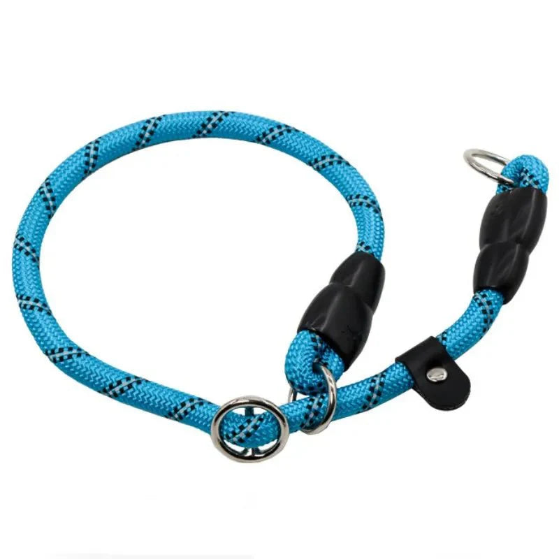 https://cdn.shopify.com/s/files/1/0647/9170/7830/files/collier-lasso-chien-6573697.webp?v=1777924279