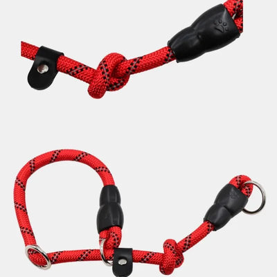 https://cdn.shopify.com/s/files/1/0647/9170/7830/files/collier-lasso-chien-7881074.webp?v=1777924279