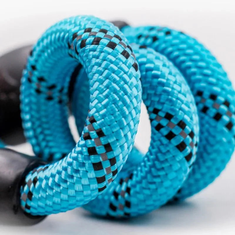 https://cdn.shopify.com/s/files/1/0647/9170/7830/files/collier-lasso-chien-6573697.webp?v=1777924279