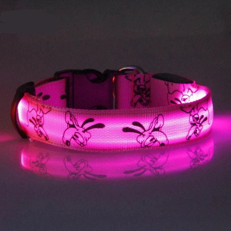 https://cdn.shopify.com/s/files/1/0647/9170/7830/files/collier-led-pour-chien-8099935.webp?v=1777925532