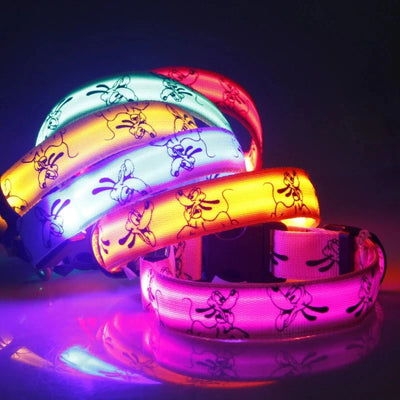 https://cdn.shopify.com/s/files/1/0647/9170/7830/files/collier-led-pour-chien-8099935.webp?v=1777925532