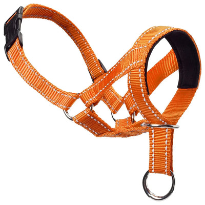 https://cdn.shopify.com/s/files/1/0647/9170/7830/files/collier-licol-pour-chien-2774283.webp?v=1777923495