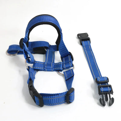 https://cdn.shopify.com/s/files/1/0647/9170/7830/files/collier-licol-pour-chien-2961877.webp?v=1777923495