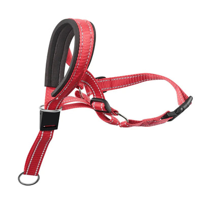 https://cdn.shopify.com/s/files/1/0647/9170/7830/files/collier-licol-pour-chien-7936993.webp?v=1777923494