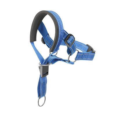 https://cdn.shopify.com/s/files/1/0647/9170/7830/files/collier-licol-pour-chien-9652788.webp?v=1777923495