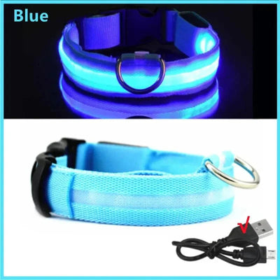 https://cdn.shopify.com/s/files/1/0647/9170/7830/files/collier-lumineux-chien-poil-long-1717951.webp?v=1777923732