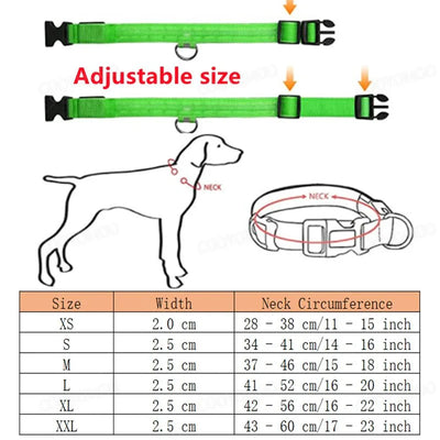https://cdn.shopify.com/s/files/1/0647/9170/7830/files/collier-lumineux-chien-poil-long-5343988.webp?v=1777923732