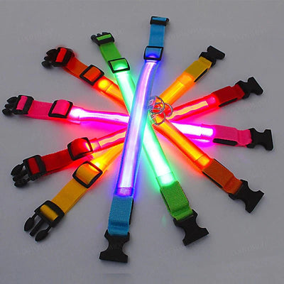 https://cdn.shopify.com/s/files/1/0647/9170/7830/files/collier-lumineux-chien-poil-long-5412212.webp?v=1777923731