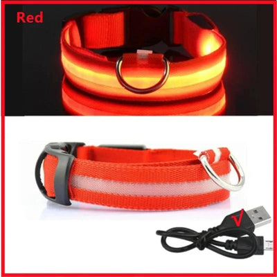 https://cdn.shopify.com/s/files/1/0647/9170/7830/files/collier-lumineux-chien-poil-long-6957902.webp?v=1777923731