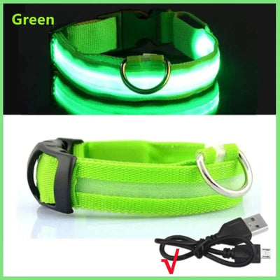 https://cdn.shopify.com/s/files/1/0647/9170/7830/files/collier-lumineux-chien-poil-long-8432880.webp?v=1777923730