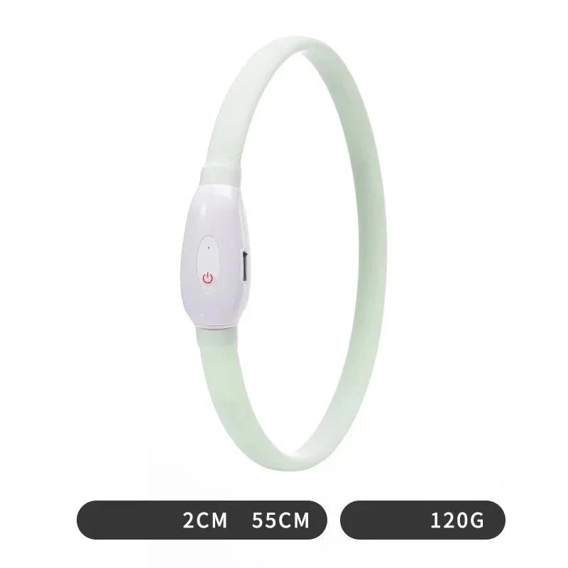 https://cdn.shopify.com/s/files/1/0647/9170/7830/files/collier-lumineux-chiot-8058254.webp?v=1777924088