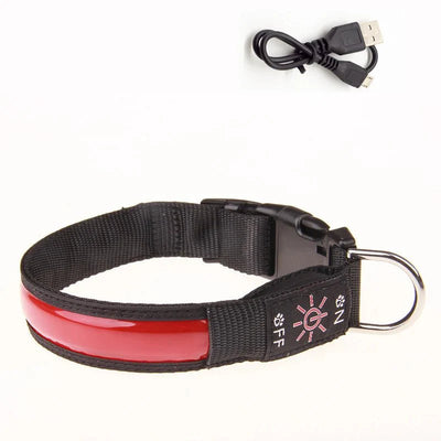 https://cdn.shopify.com/s/files/1/0647/9170/7830/files/collier-lumineux-pour-petit-chien-4306243.webp?v=1777923855