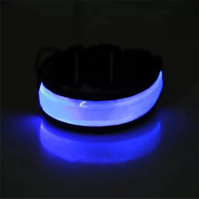 https://cdn.shopify.com/s/files/1/0647/9170/7830/files/collier-lumineux-pour-petit-chien-6479417.webp?v=1777923855