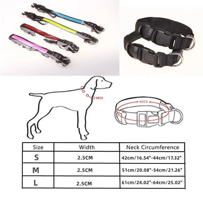https://cdn.shopify.com/s/files/1/0647/9170/7830/files/collier-lumineux-pour-petit-chien-9099303.webp?v=1777923857