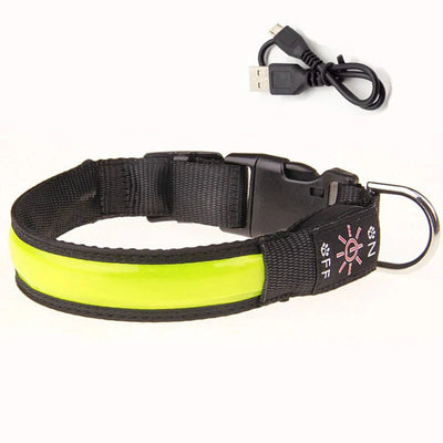 https://cdn.shopify.com/s/files/1/0647/9170/7830/files/collier-lumineux-pour-petit-chien-9701343.webp?v=1777923855