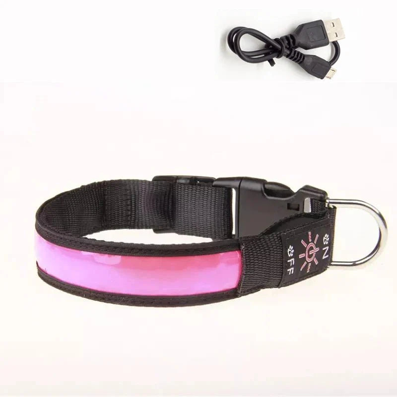 https://cdn.shopify.com/s/files/1/0647/9170/7830/files/collier-lumineux-pour-petit-chien-9785730.webp?v=1777923856
