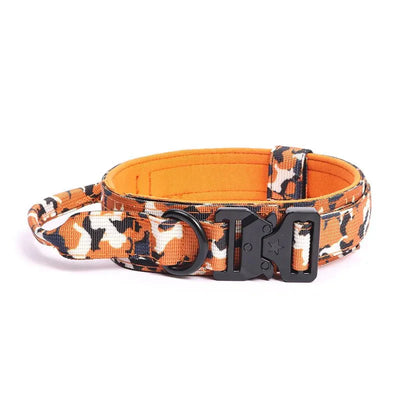 https://cdn.shopify.com/s/files/1/0647/9170/7830/files/collier-militaire-chien-1809554.webp?v=1777923438