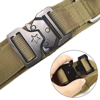 https://cdn.shopify.com/s/files/1/0647/9170/7830/files/collier-militaire-chien-5148618.webp?v=1777923439