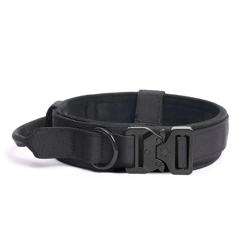 https://cdn.shopify.com/s/files/1/0647/9170/7830/files/collier-militaire-chien-5338293.webp?v=1777923438