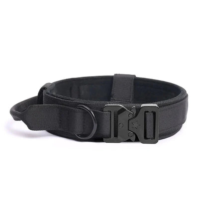https://cdn.shopify.com/s/files/1/0647/9170/7830/files/collier-militaire-chien-5338293.webp?v=1777923438