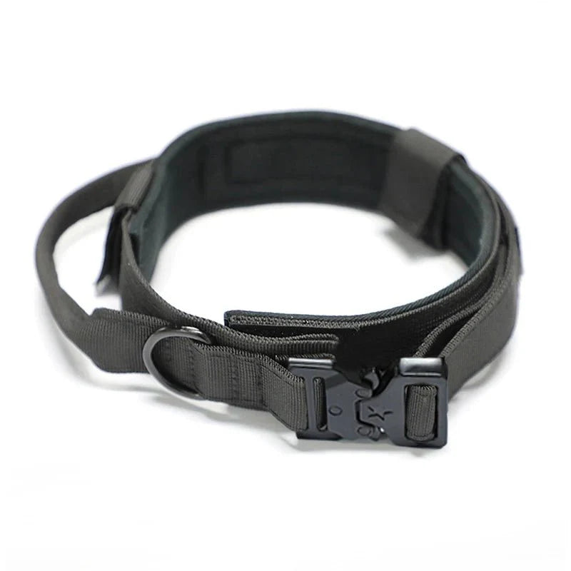 https://cdn.shopify.com/s/files/1/0647/9170/7830/files/collier-militaire-chien-5338293.webp?v=1777923438