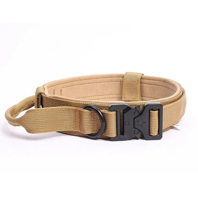 https://cdn.shopify.com/s/files/1/0647/9170/7830/files/collier-militaire-chien-8143496.webp?v=1777923438