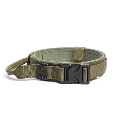 https://cdn.shopify.com/s/files/1/0647/9170/7830/files/collier-militaire-chien-9272268.webp?v=1777923440