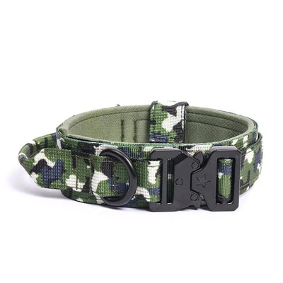 https://cdn.shopify.com/s/files/1/0647/9170/7830/files/collier-militaire-chien-9487831.webp?v=1777923439