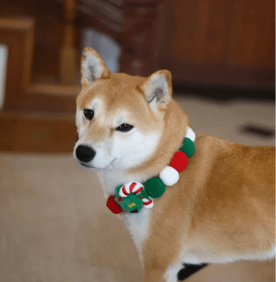 https://cdn.shopify.com/s/files/1/0647/9170/7830/files/collier-noel-pour-chien-4494258.webp?v=1777923315