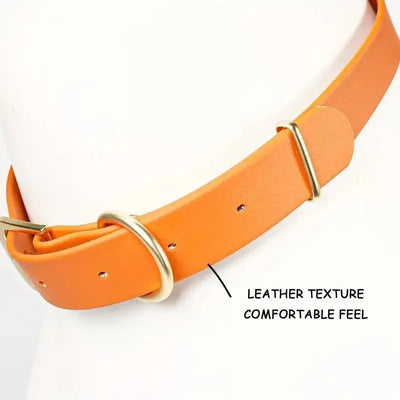https://cdn.shopify.com/s/files/1/0647/9170/7830/files/collier-orange-chien-7020163.webp?v=1777923368