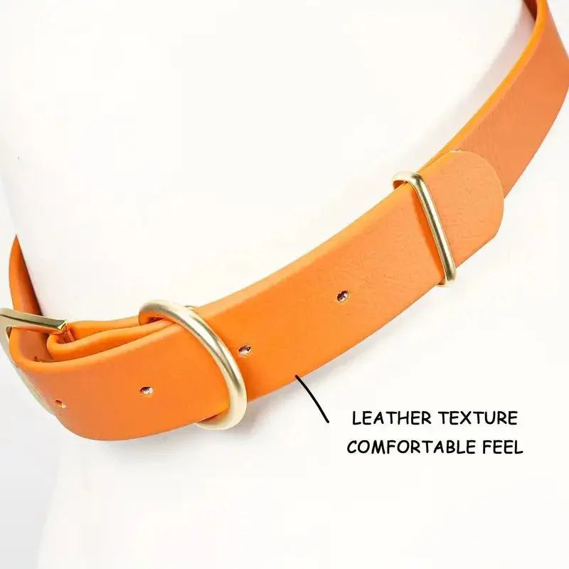 https://cdn.shopify.com/s/files/1/0647/9170/7830/files/collier-orange-chien-1069844.webp?v=1777923368