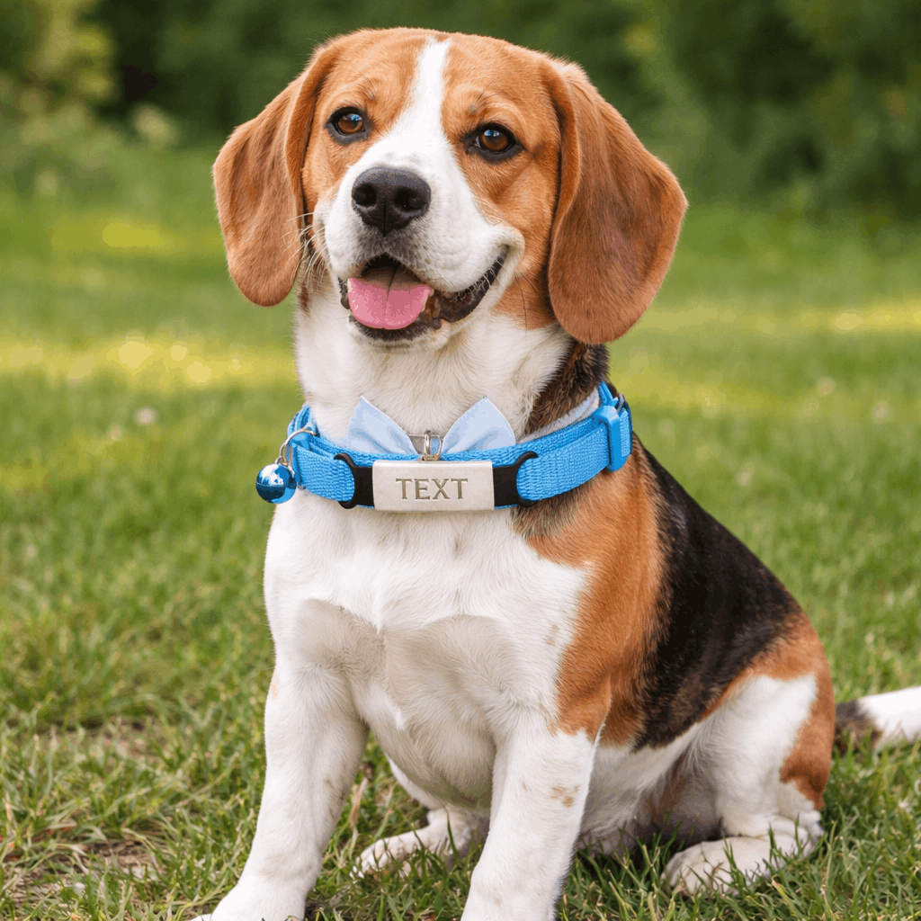https://cdn.shopify.com/s/files/1/0763/9767/4819/files/collier-personalise-pour-chien-avec-noeud-papillon.png?v=1769182345