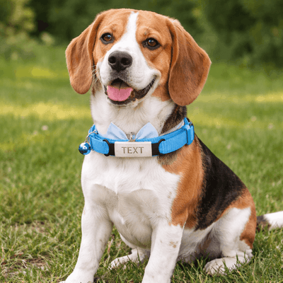 https://cdn.shopify.com/s/files/1/0763/9767/4819/files/collier-personalise-pour-chien-avec-noeud-papillon.png?v=1769182345