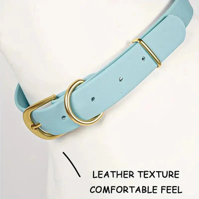 https://cdn.shopify.com/s/files/1/0647/9170/7830/files/collier-plat-chien-2985788.webp?v=1777924032