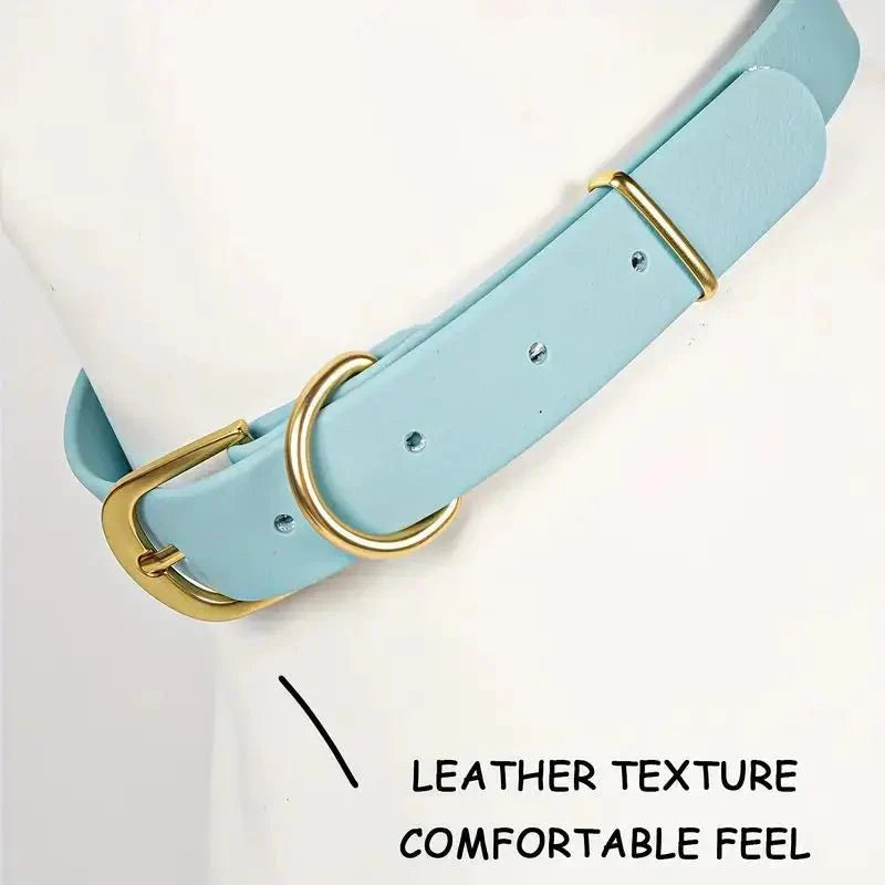 https://cdn.shopify.com/s/files/1/0647/9170/7830/files/collier-plat-chien-6288133.webp?v=1777924032
