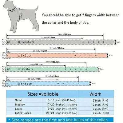 https://cdn.shopify.com/s/files/1/0647/9170/7830/files/collier-pour-chien-a-clous-7400936.webp?v=1777924214