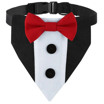 https://cdn.shopify.com/s/files/1/0647/9170/7830/files/collier-pour-chien-fantaisie-1191221.webp?v=1777923489