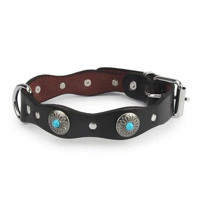 https://cdn.shopify.com/s/files/1/0647/9170/7830/files/collier-pour-chien-rottweiler-2622094.webp?v=1777923789
