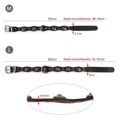 https://cdn.shopify.com/s/files/1/0647/9170/7830/files/collier-pour-chien-rottweiler-3186781.webp?v=1777923790