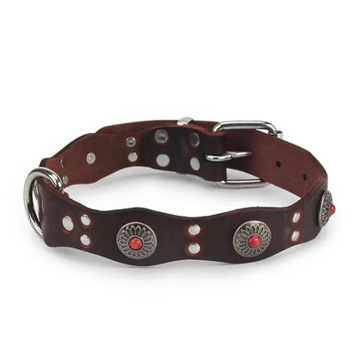 https://cdn.shopify.com/s/files/1/0647/9170/7830/files/collier-pour-chien-rottweiler-5307474.webp?v=1777923790
