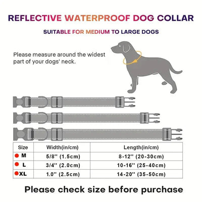 https://cdn.shopify.com/s/files/1/0647/9170/7830/files/collier-pour-chien-violet-6265937.webp?v=1777924027
