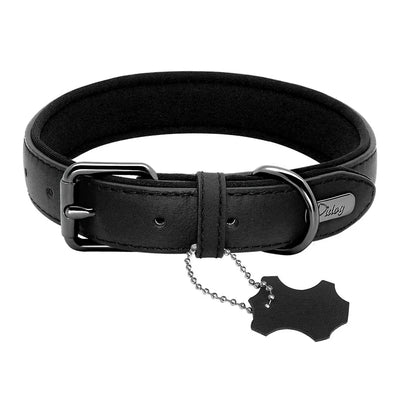 https://cdn.shopify.com/s/files/1/0647/9170/7830/files/collier-pour-gros-chien-cuir-1114828.webp?v=1777924336