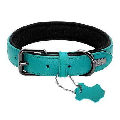https://cdn.shopify.com/s/files/1/0647/9170/7830/files/collier-pour-gros-chien-cuir-1335213.webp?v=1777924335