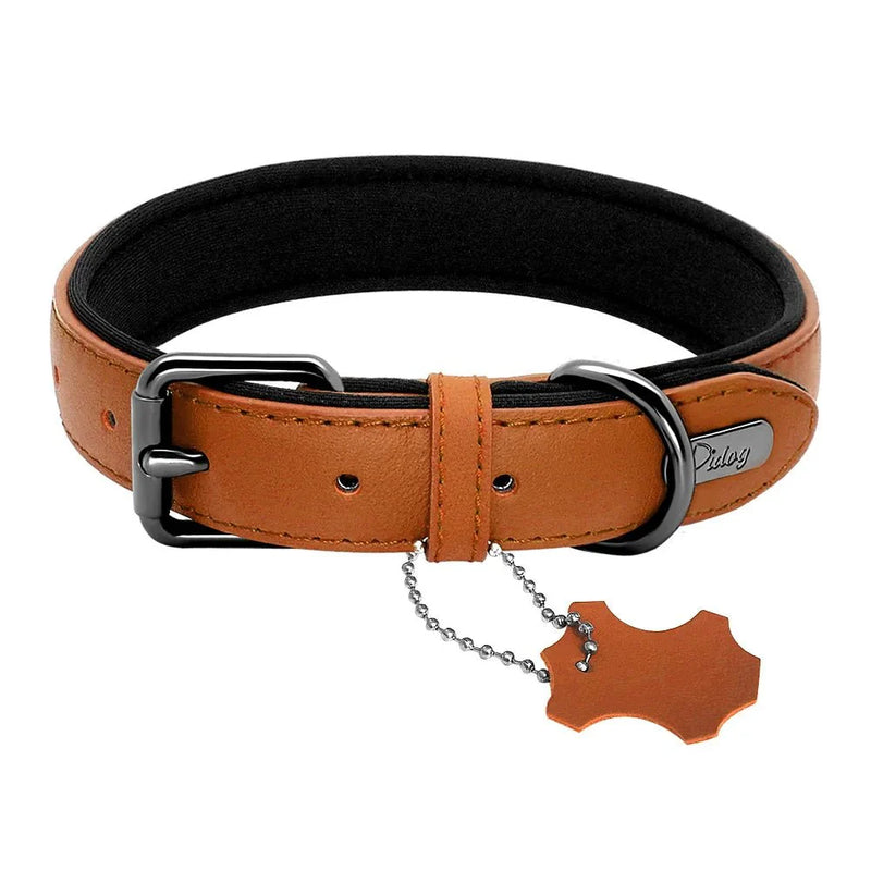 https://cdn.shopify.com/s/files/1/0647/9170/7830/files/collier-pour-gros-chien-cuir-4845597.webp?v=1777924336