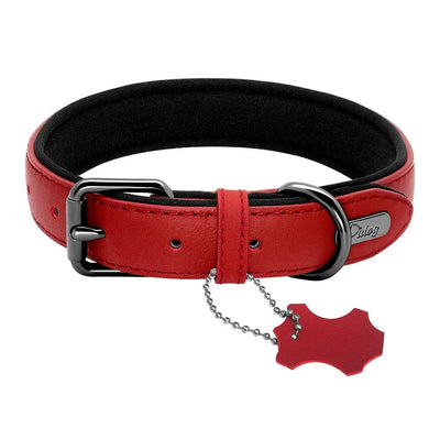 https://cdn.shopify.com/s/files/1/0647/9170/7830/files/collier-pour-gros-chien-cuir-8383829.webp?v=1777924336