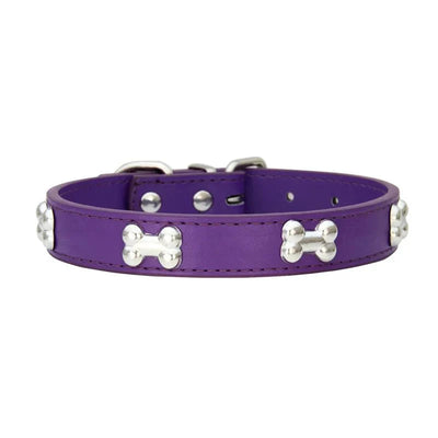 https://cdn.shopify.com/s/files/1/0647/9170/7830/files/collier-pour-petit-chien-en-cuir-2045853.webp?v=1777924216