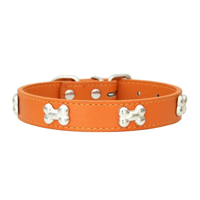 https://cdn.shopify.com/s/files/1/0647/9170/7830/files/collier-pour-petit-chien-en-cuir-4433424.webp?v=1777924452