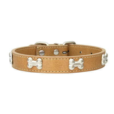 https://cdn.shopify.com/s/files/1/0647/9170/7830/files/collier-pour-petit-chien-en-cuir-5052096.webp?v=1777924215