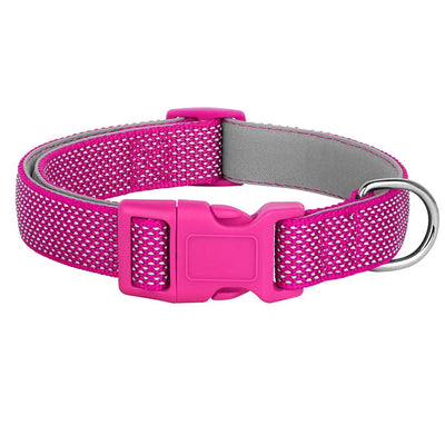https://cdn.shopify.com/s/files/1/0647/9170/7830/files/collier-reflechissant-pour-chiot-8048553.webp?v=1777925299