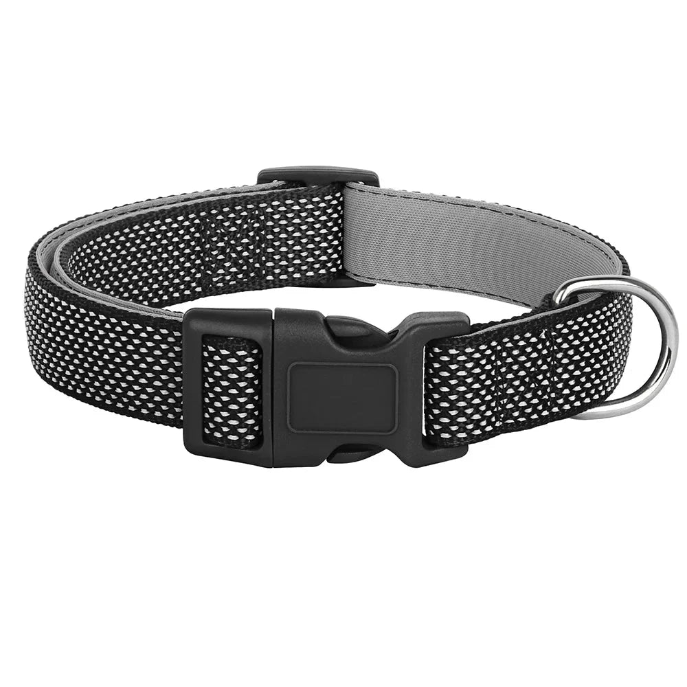 https://cdn.shopify.com/s/files/1/0647/9170/7830/files/collier-reflechissant-pour-chiot-9791224.webp?v=1777925298